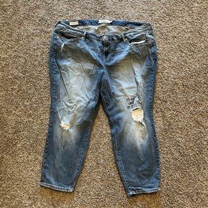 Torrid Distressed Denim Jeans